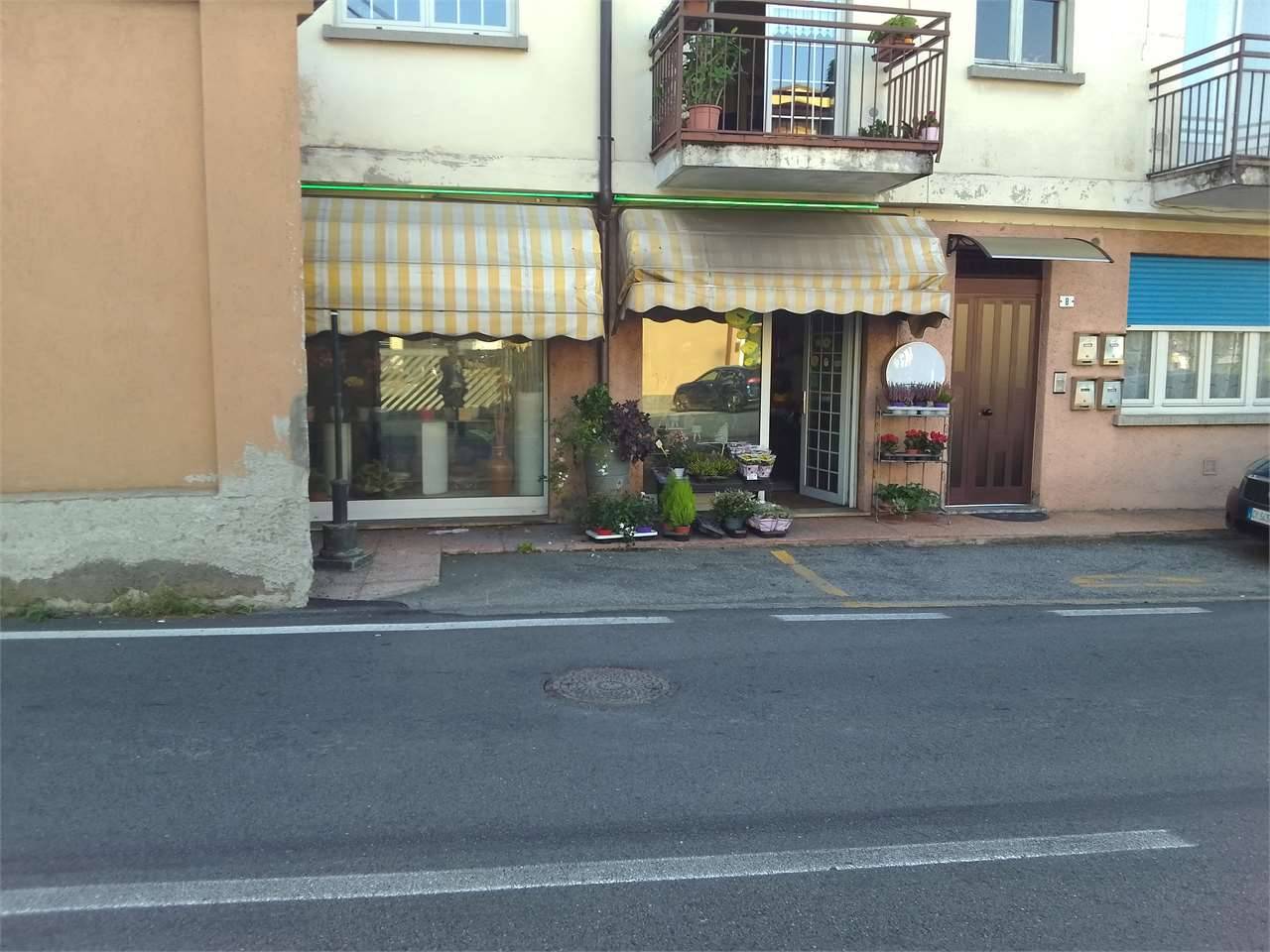  - foto 6