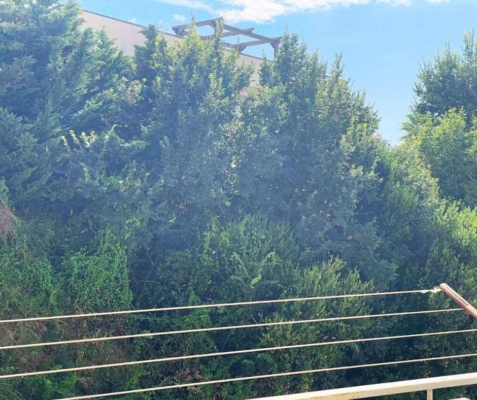  - foto 4