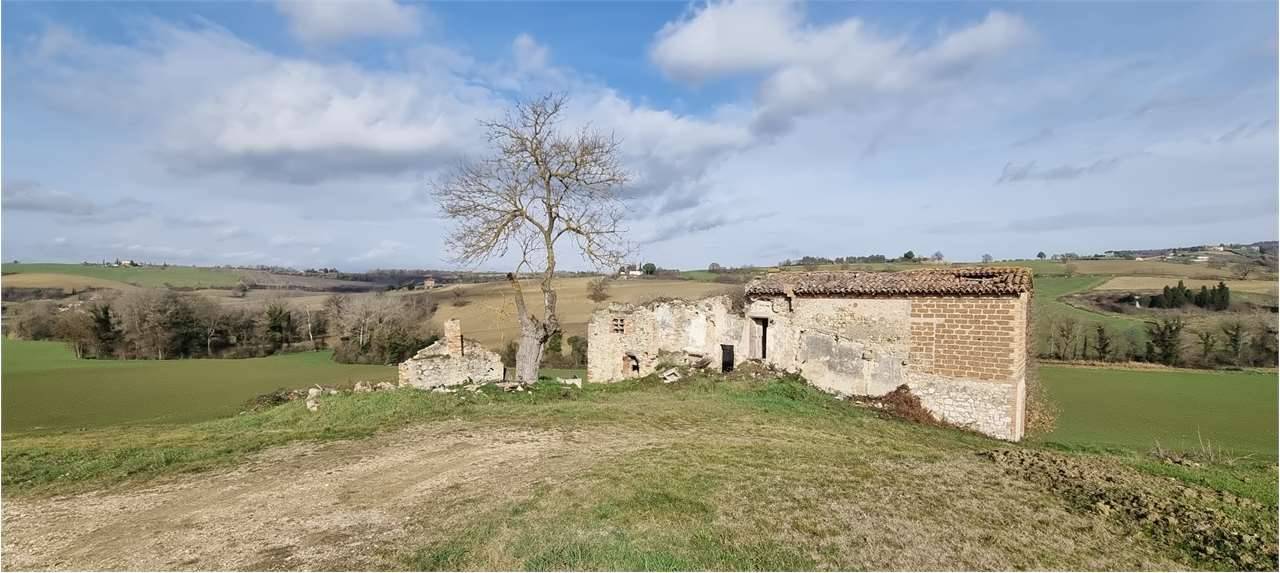 Rustico, Todi