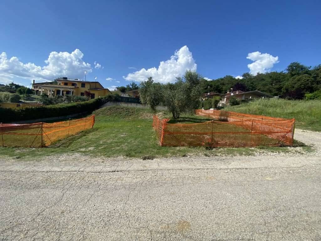  - foto 5