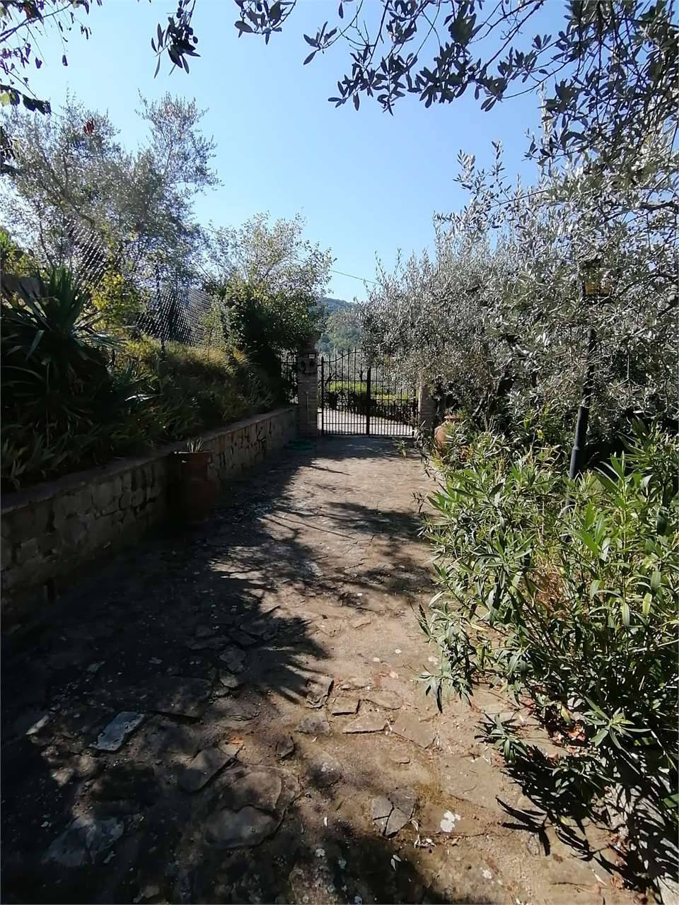  - foto 5