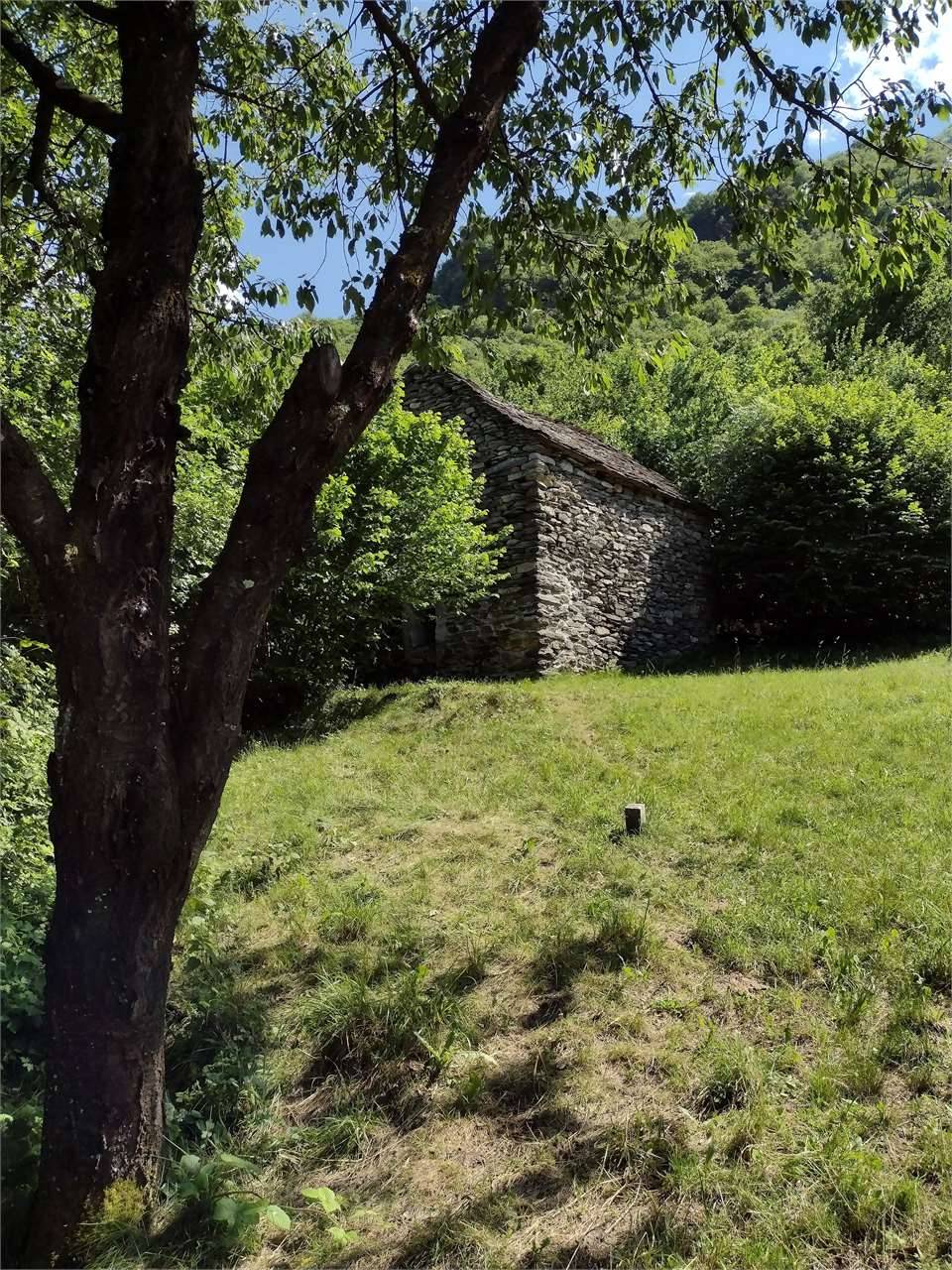  - foto 2
