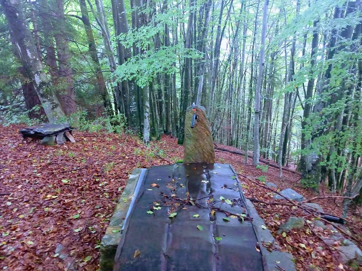  - foto 7
