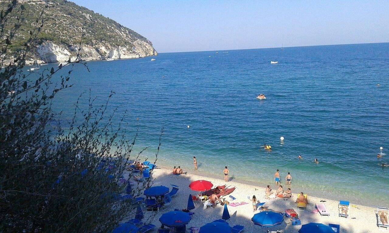  - foto 7