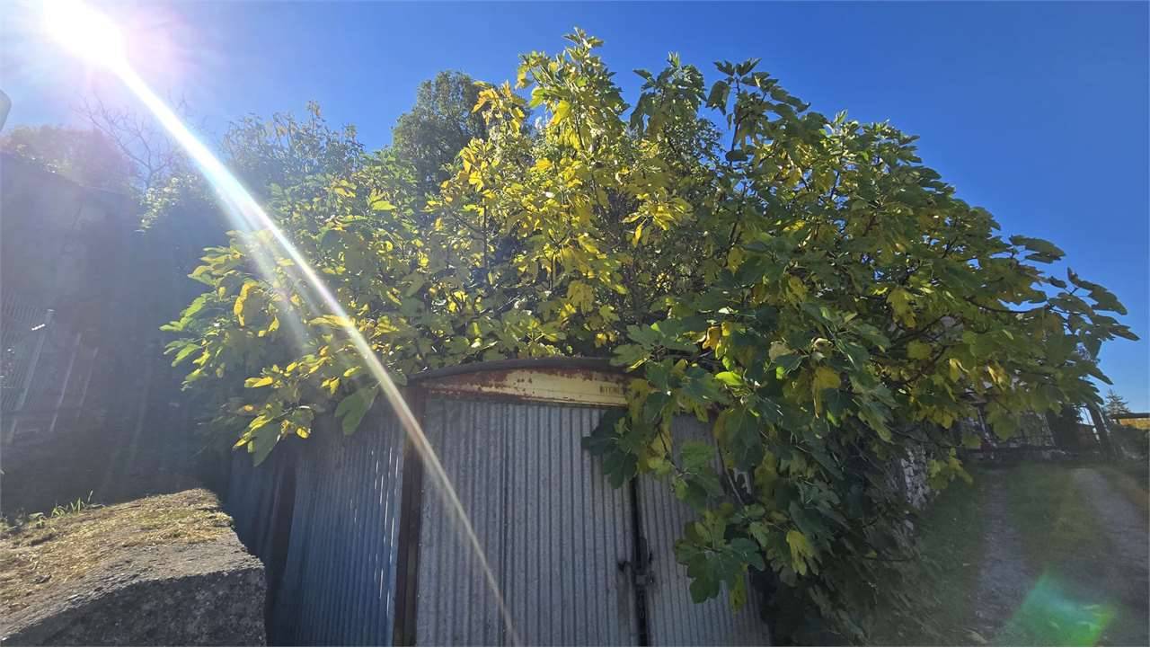  - foto 10
