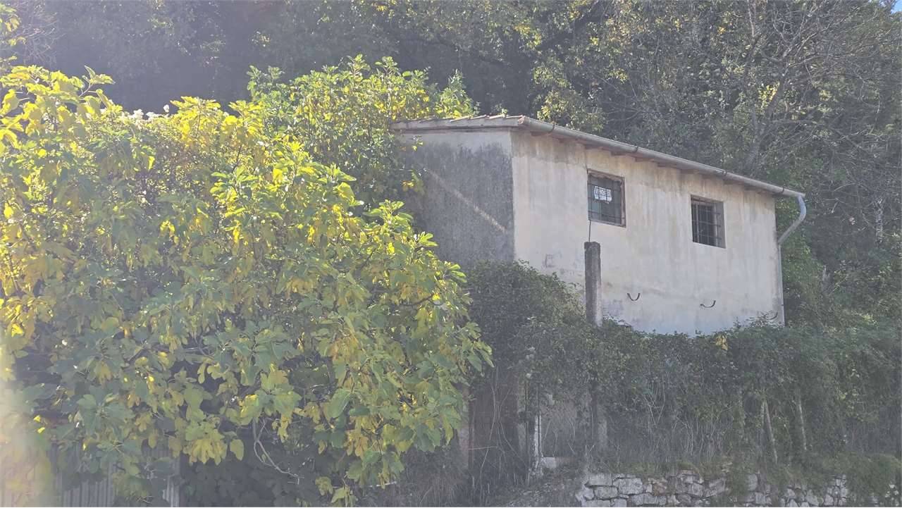  - foto 3