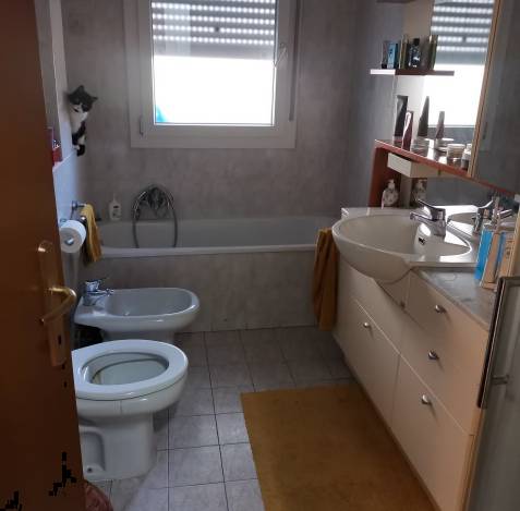  - foto 10