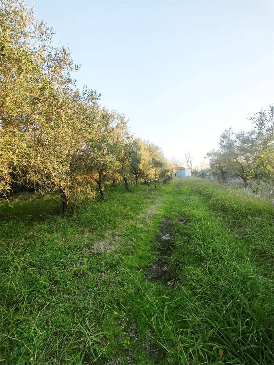  - foto 4
