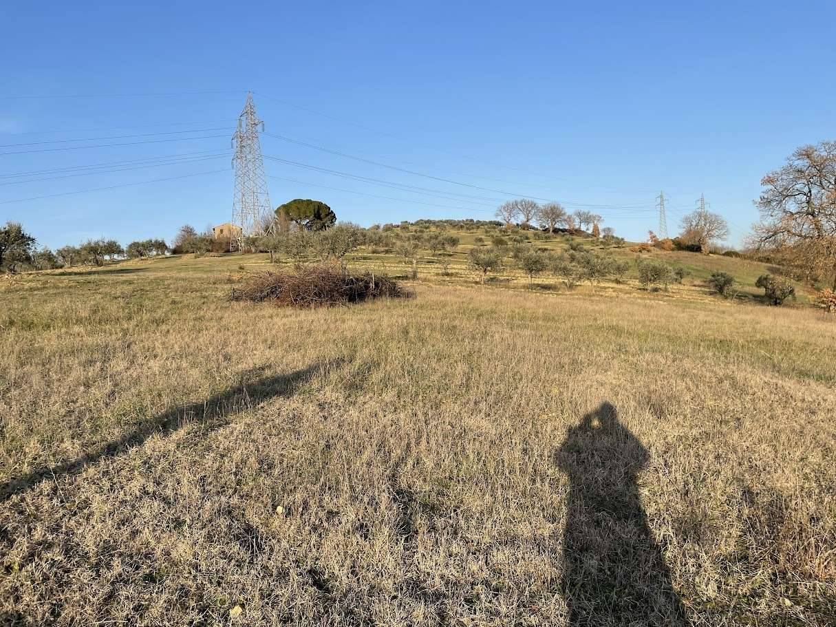  - foto 7