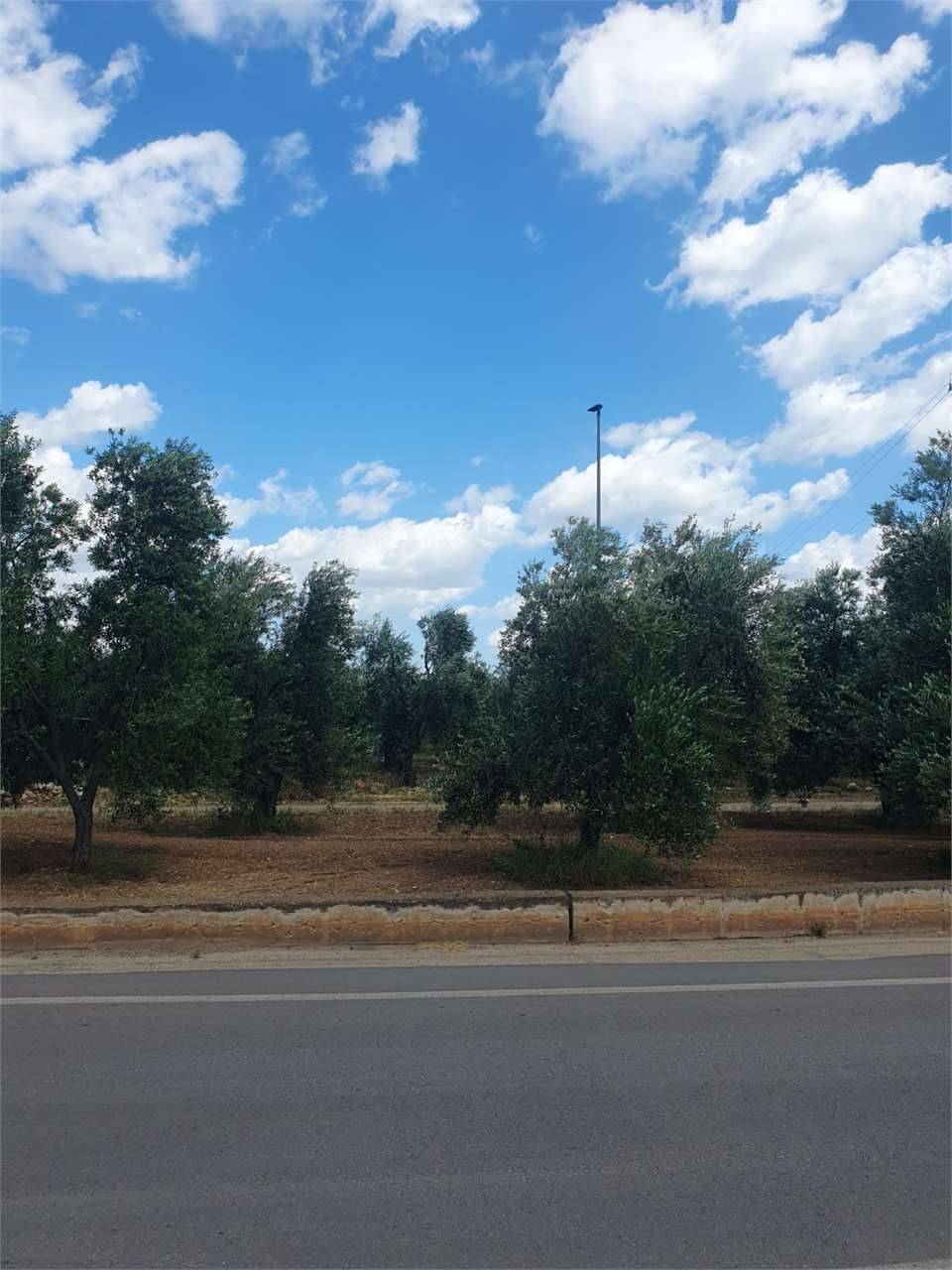  - foto 10