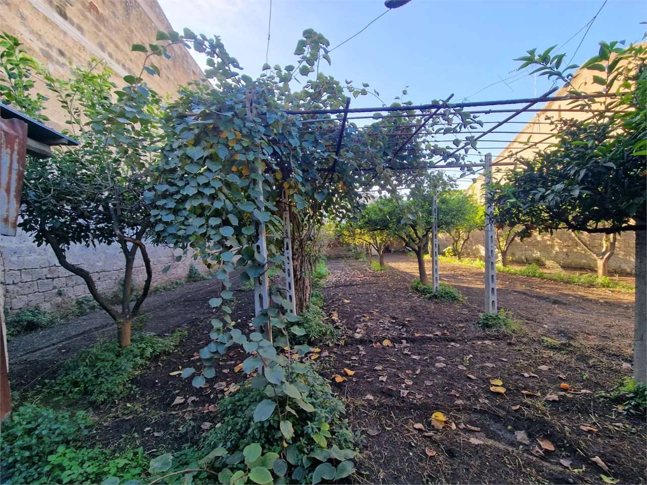 Terreno edificabile, San Tammaro