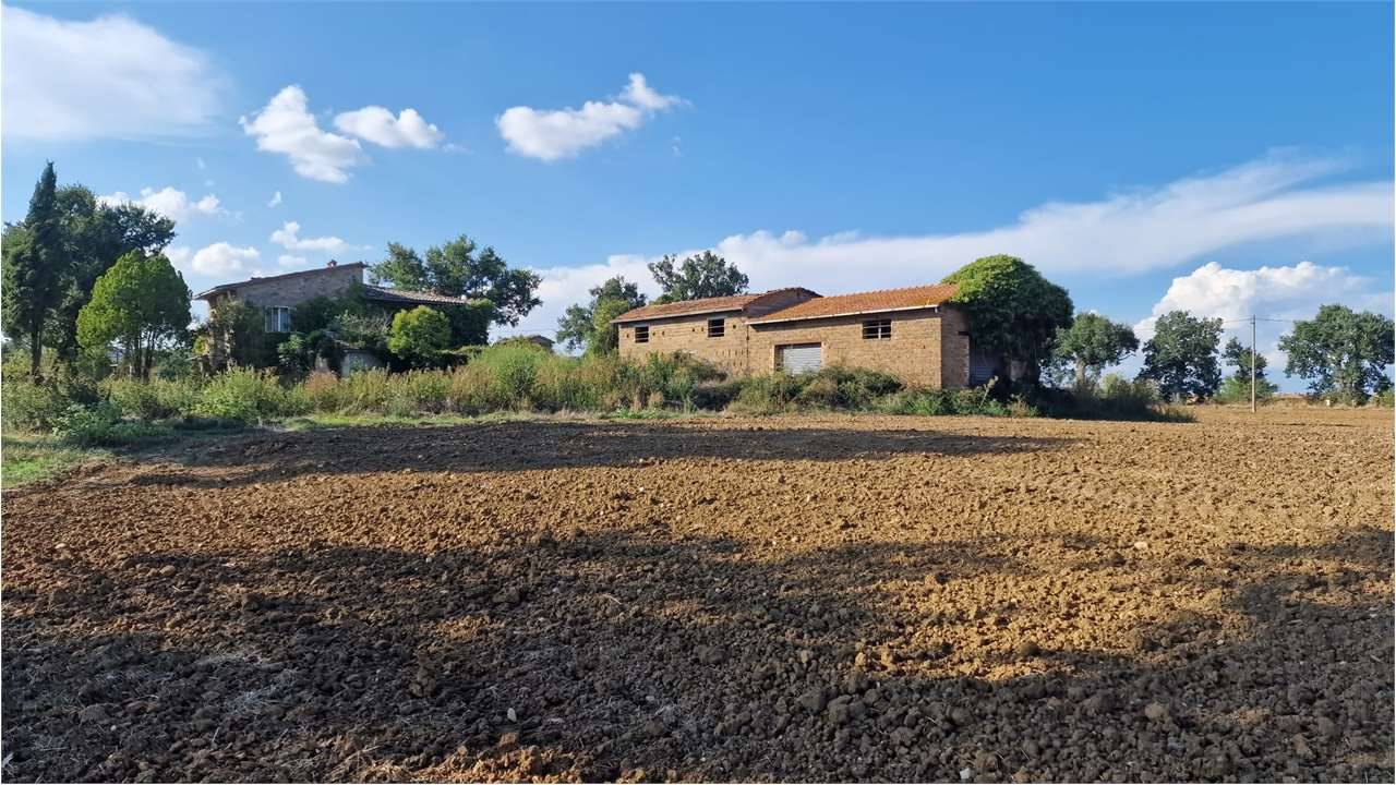 Rustico, Fratta Todina