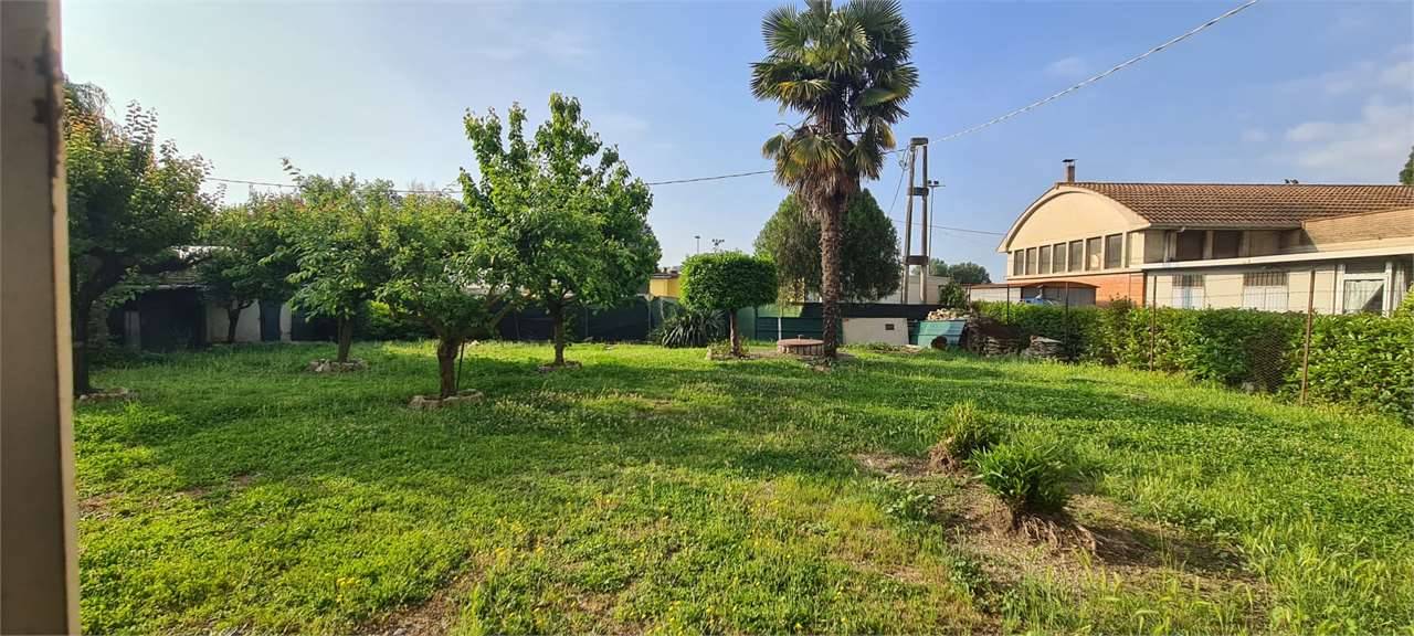 - foto 5