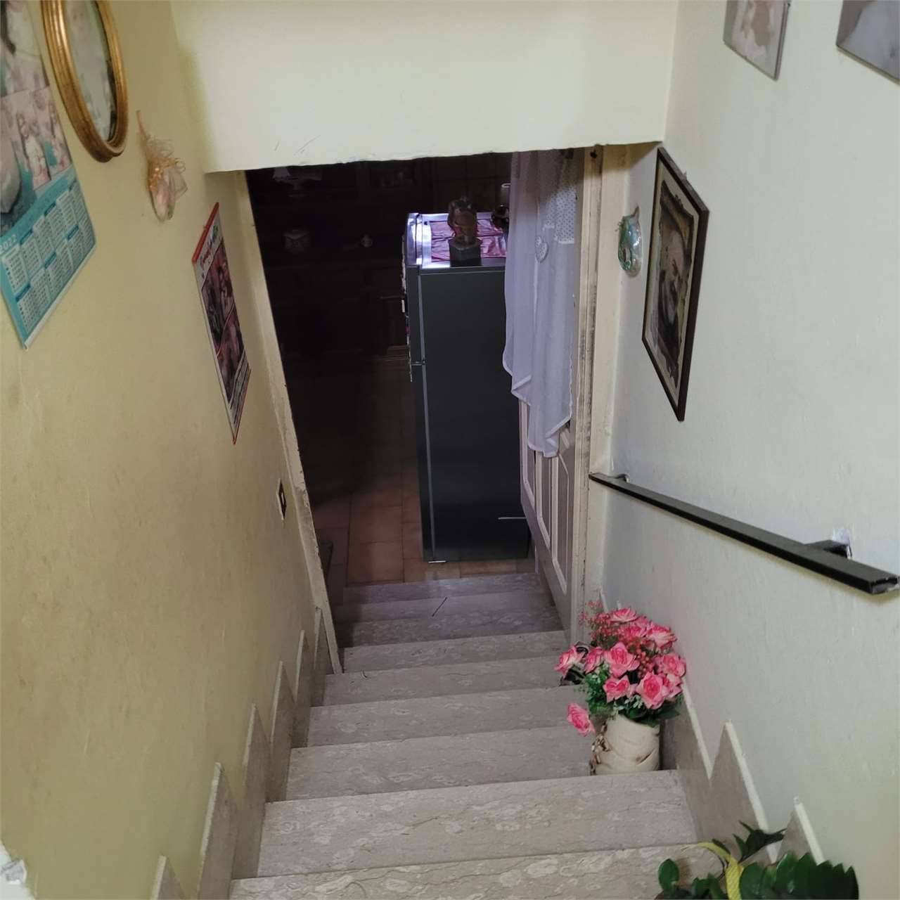  - foto 7