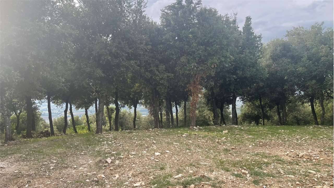  - foto 3