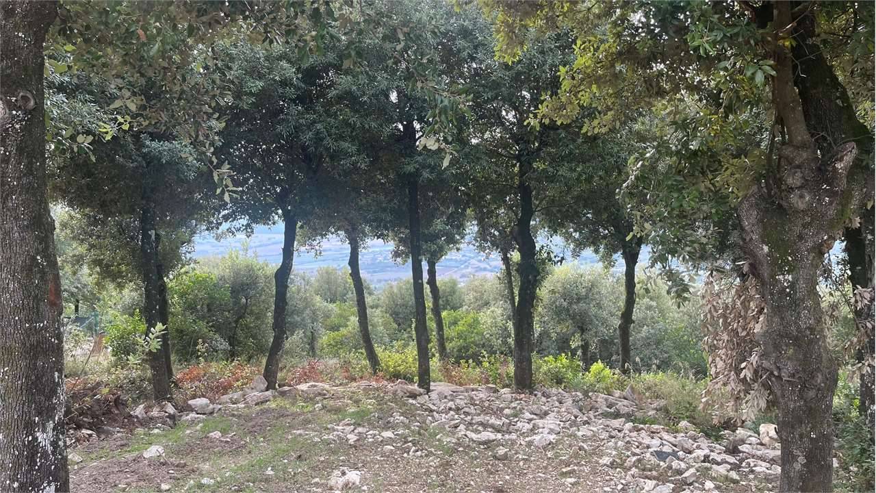  - foto 6