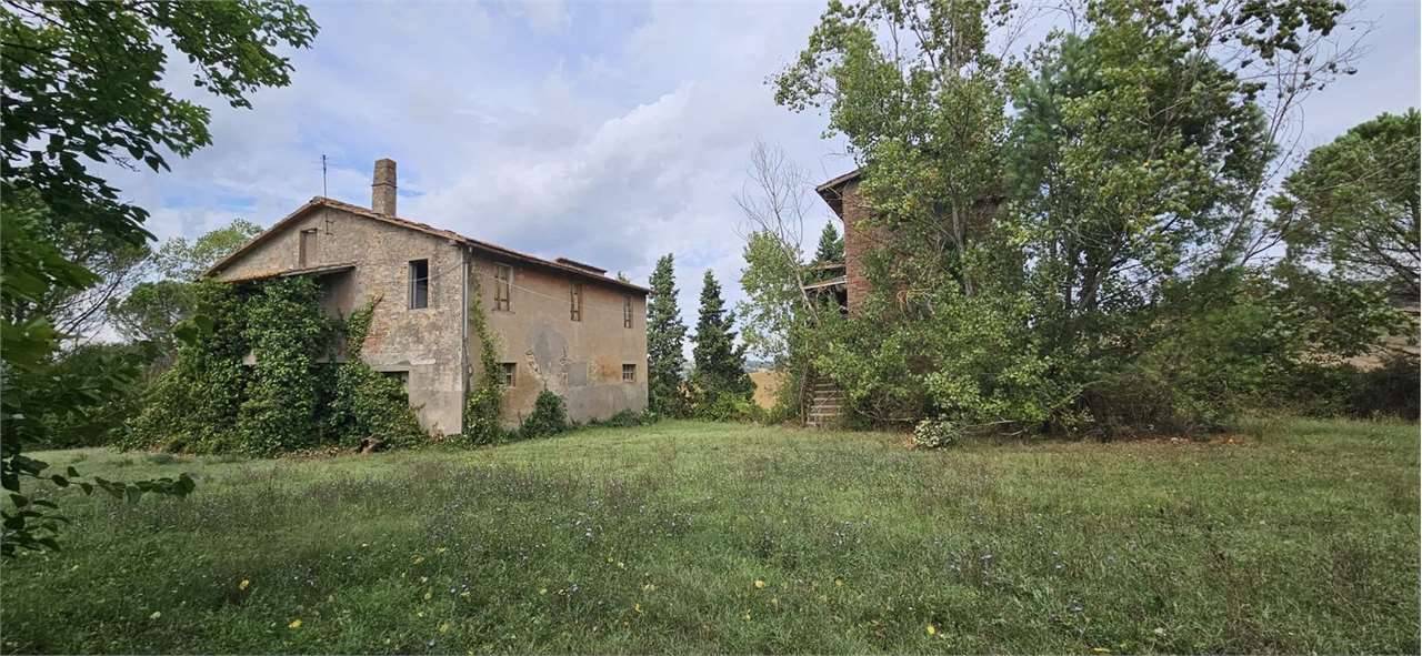 Rustico Bodoglie, Todi