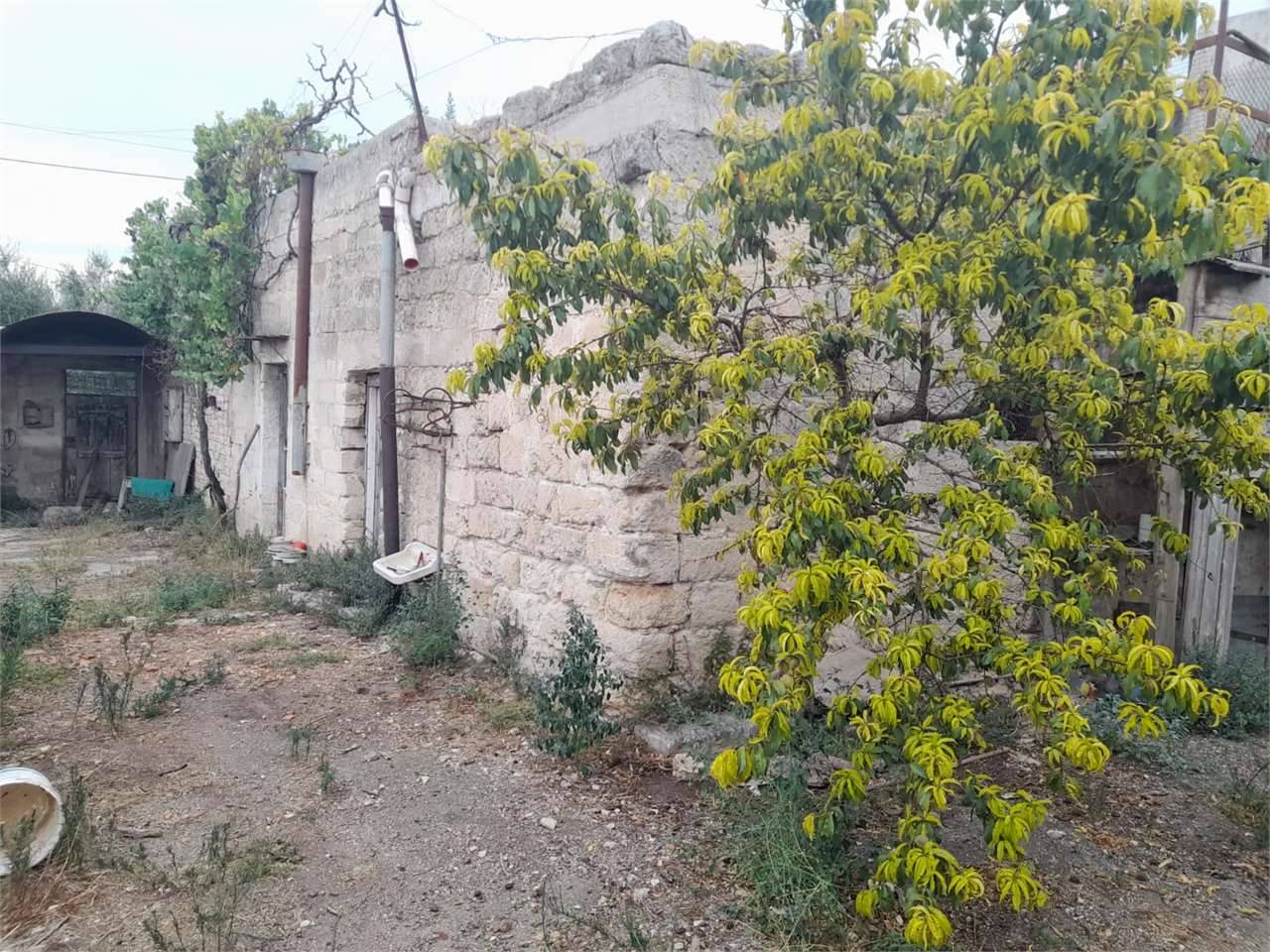  - foto 8