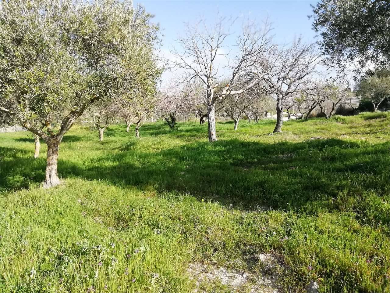 Terreno agricolo, San Cataldo