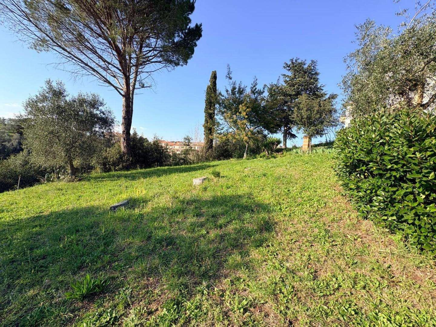  - foto 35