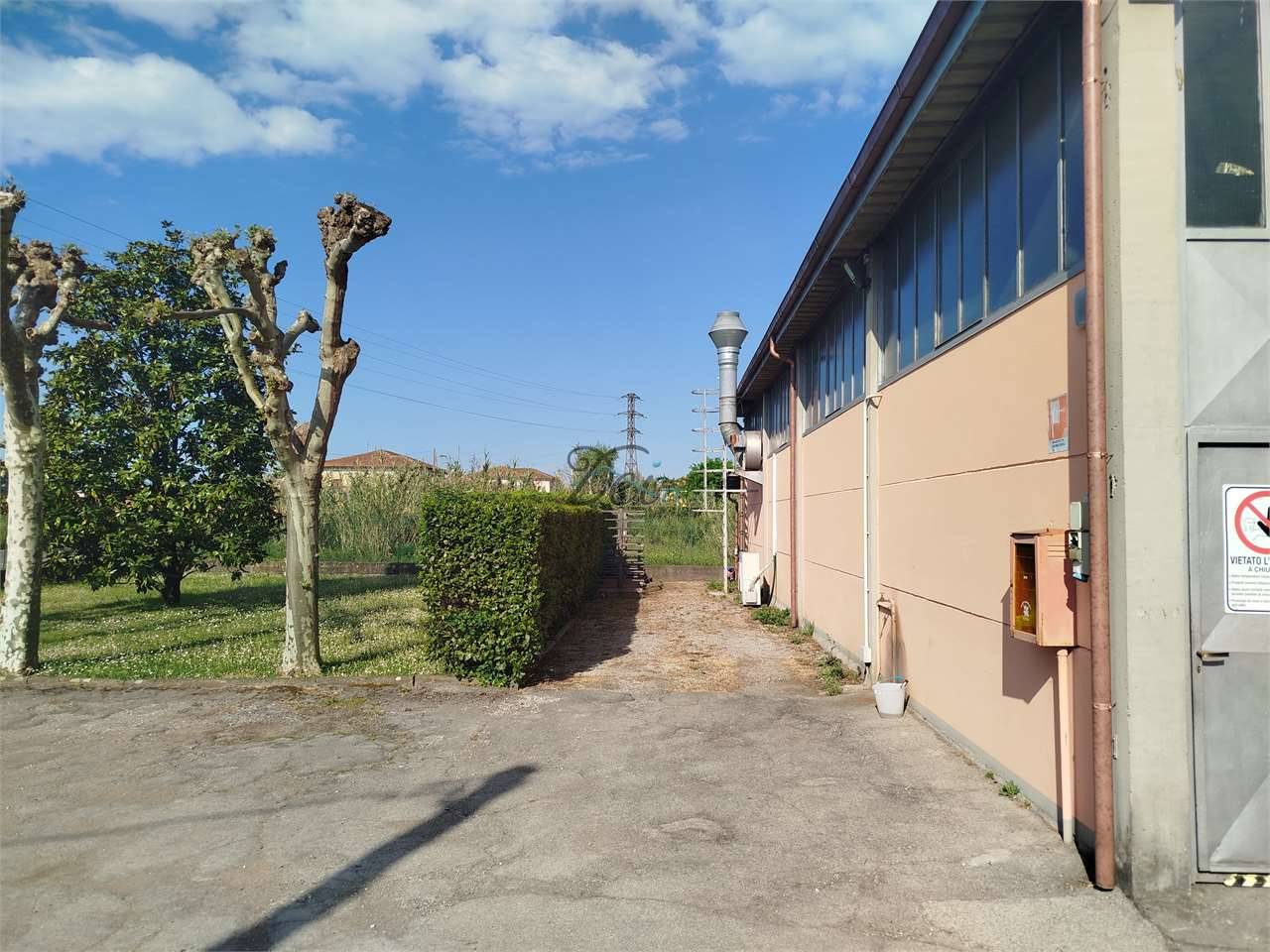  - foto 3