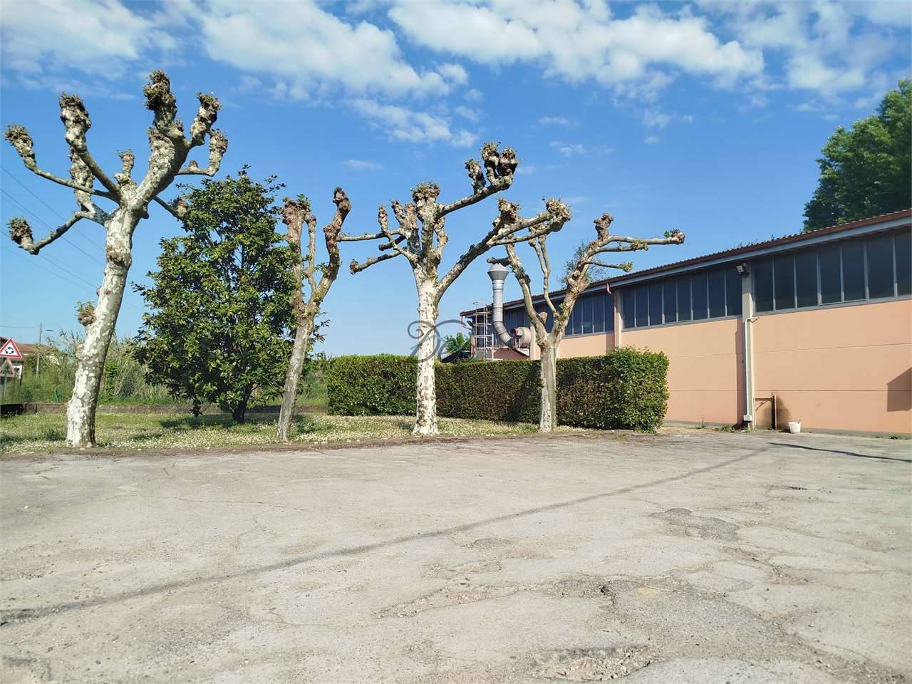  - foto 4