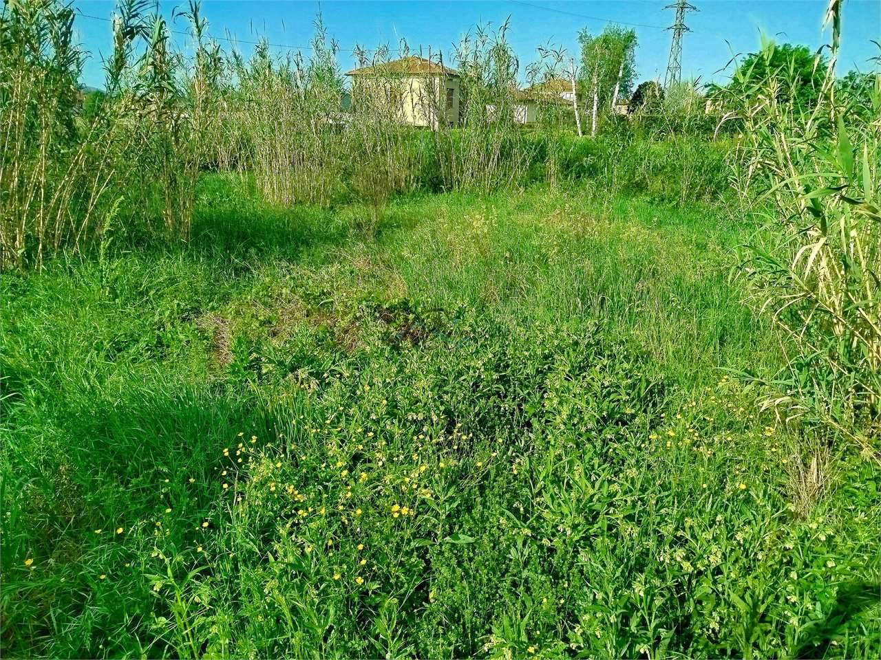  - foto 8