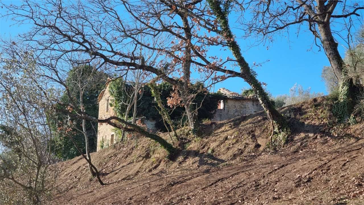 - foto 10