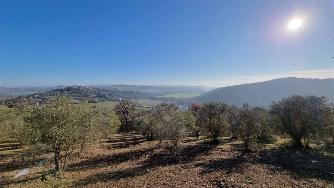  - foto 5
