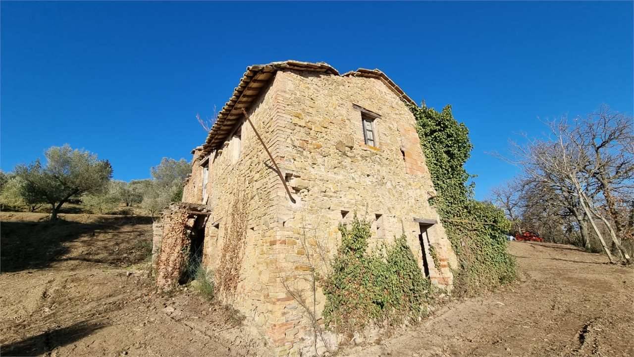 - foto 6