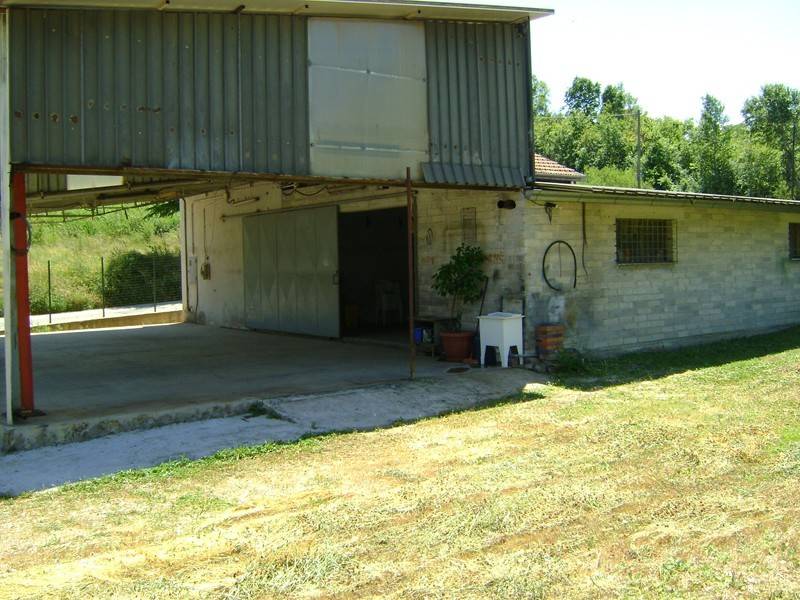  - foto 6