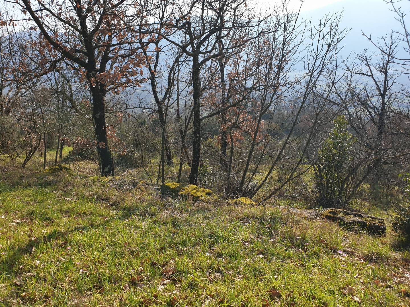  - foto 9