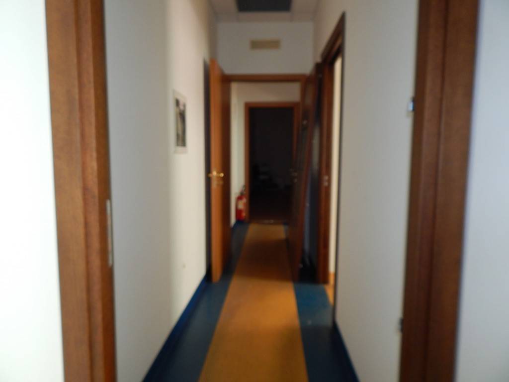  - foto 7