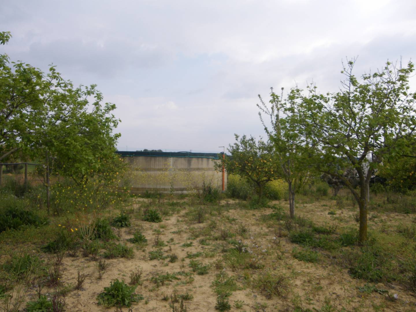  - foto 10