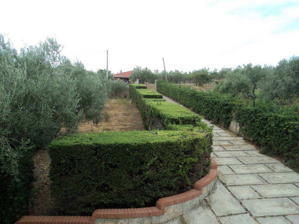  - foto 6