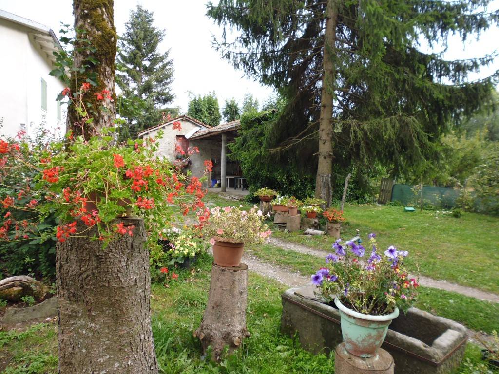  - foto 6