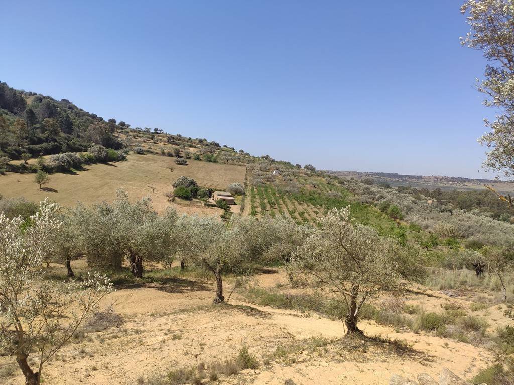 Villa Periferia, Caltagirone