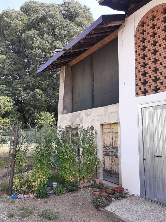 Rustico, Buscate