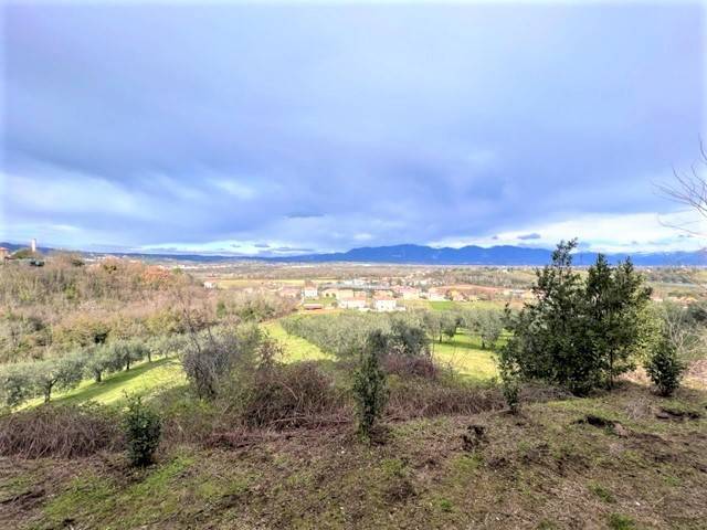  - foto 6