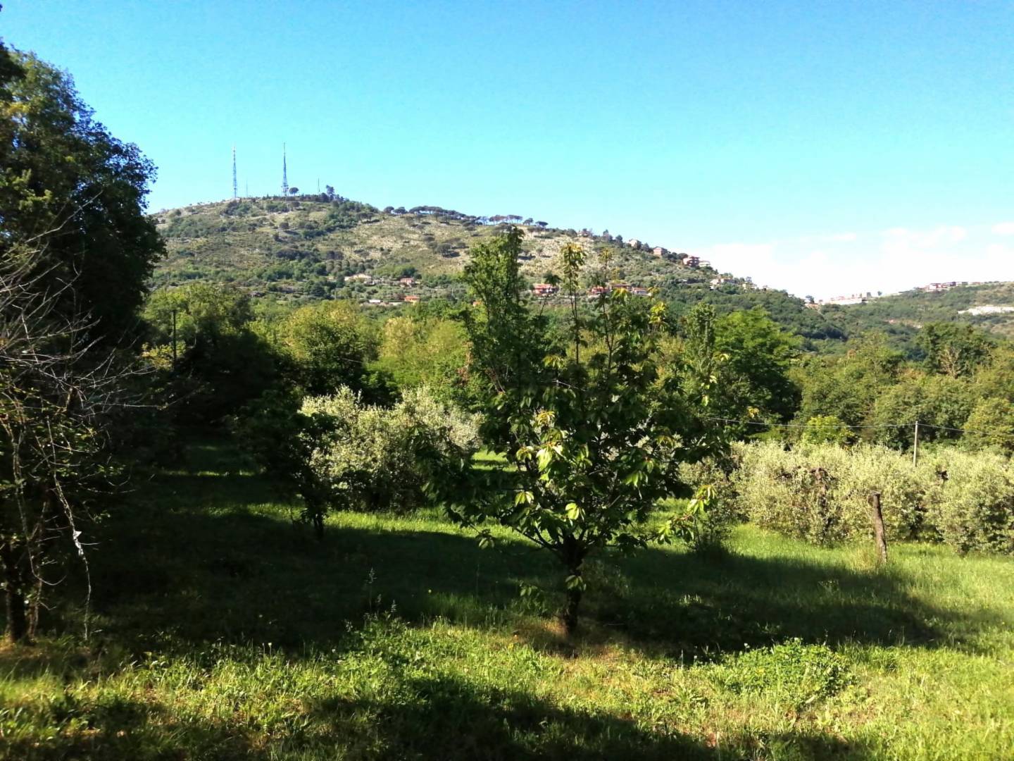  - foto 2