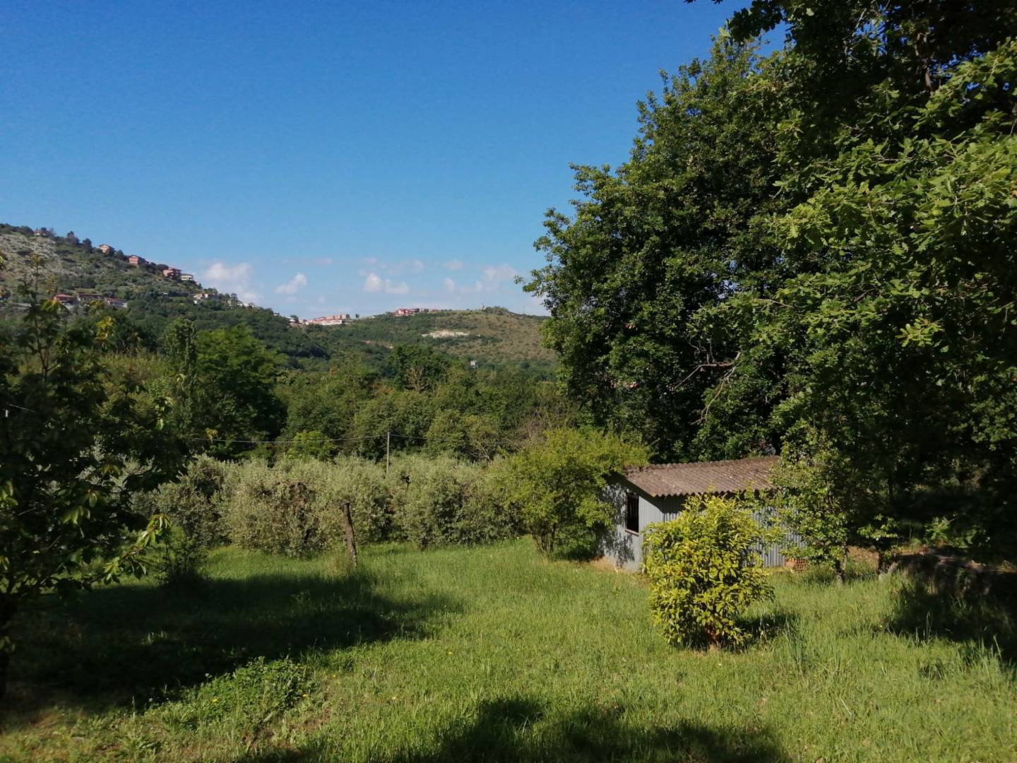 - foto 3