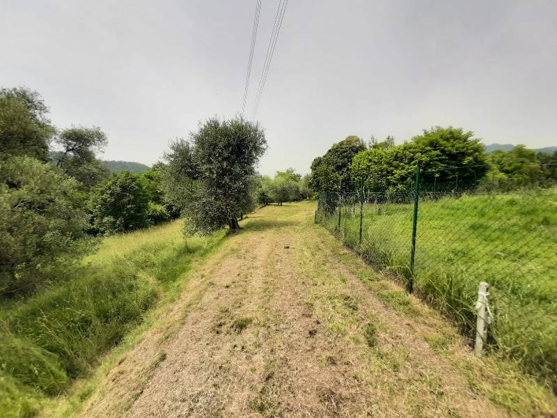 Terreno agricolo, Roè Volciano