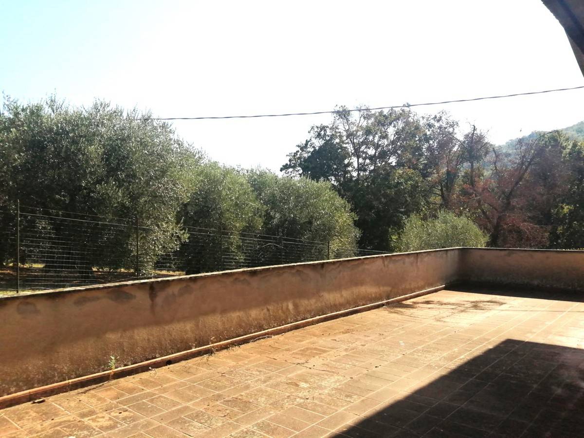  - foto 3