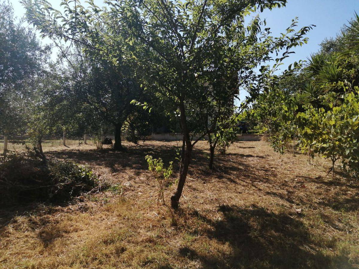  - foto 3