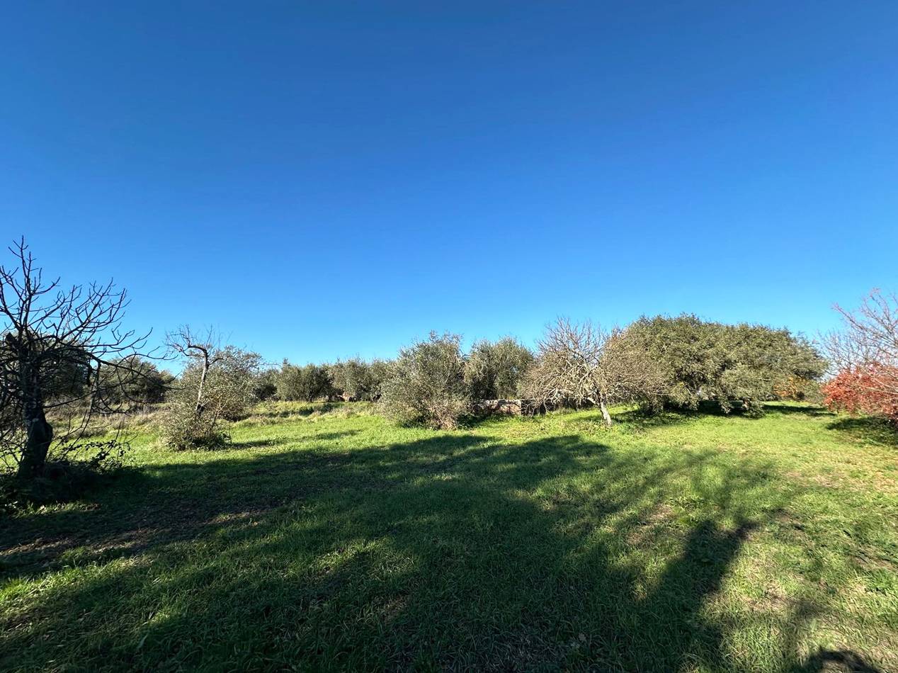Terreno agricolo, Castel Sant'Elia