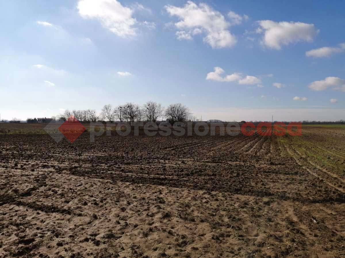 Terreno agricolo, Gazzo Veronese