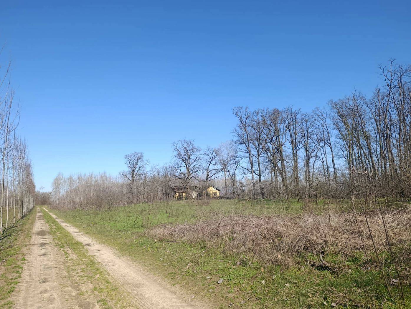 Terreno agricolo, Cergnago