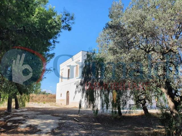  - foto 4