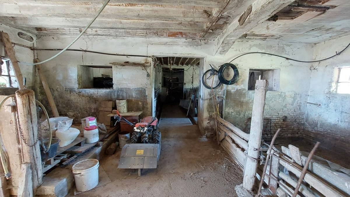  - foto 5