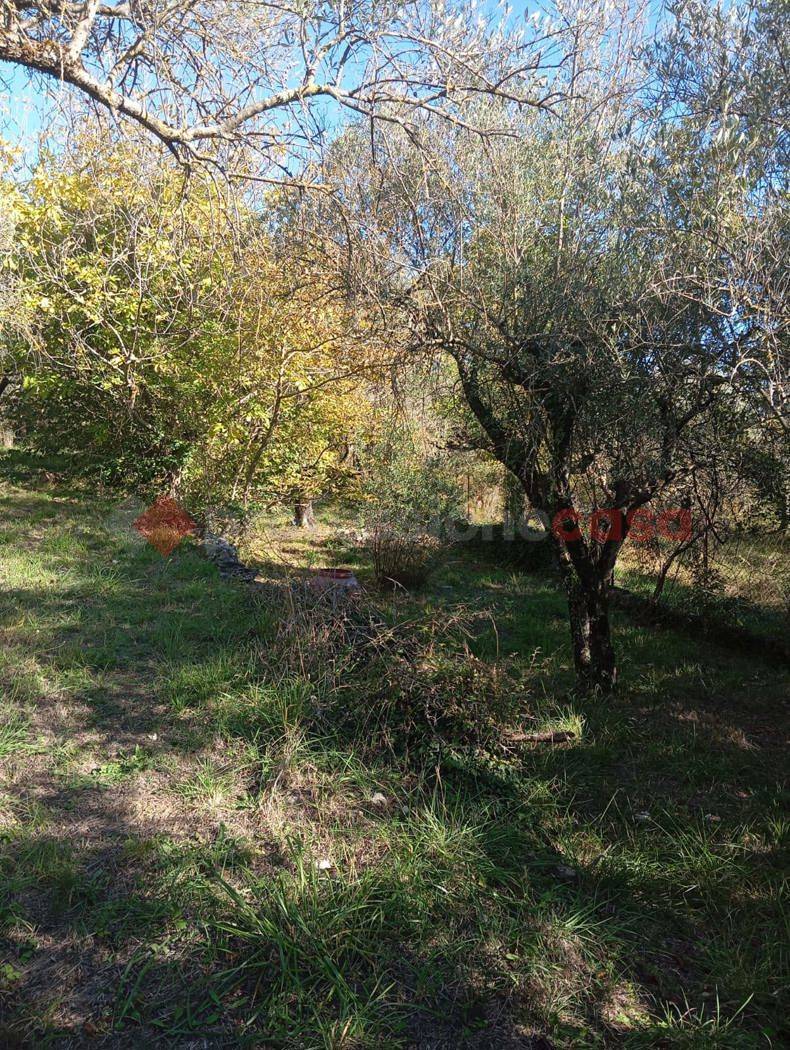  - foto 9